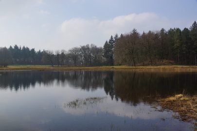 Home 4 {{brizy_dc_image_alt imageSrc=