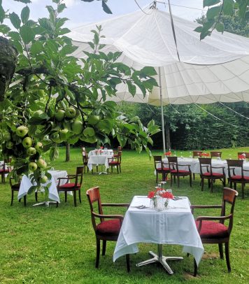 Home 11 {{brizy_dc_image_alt entityId=