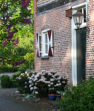 Home 2 {{brizy_dc_image_alt imageSrc=