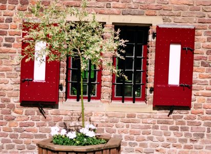 Home 8 {{brizy_dc_image_alt imageSrc=